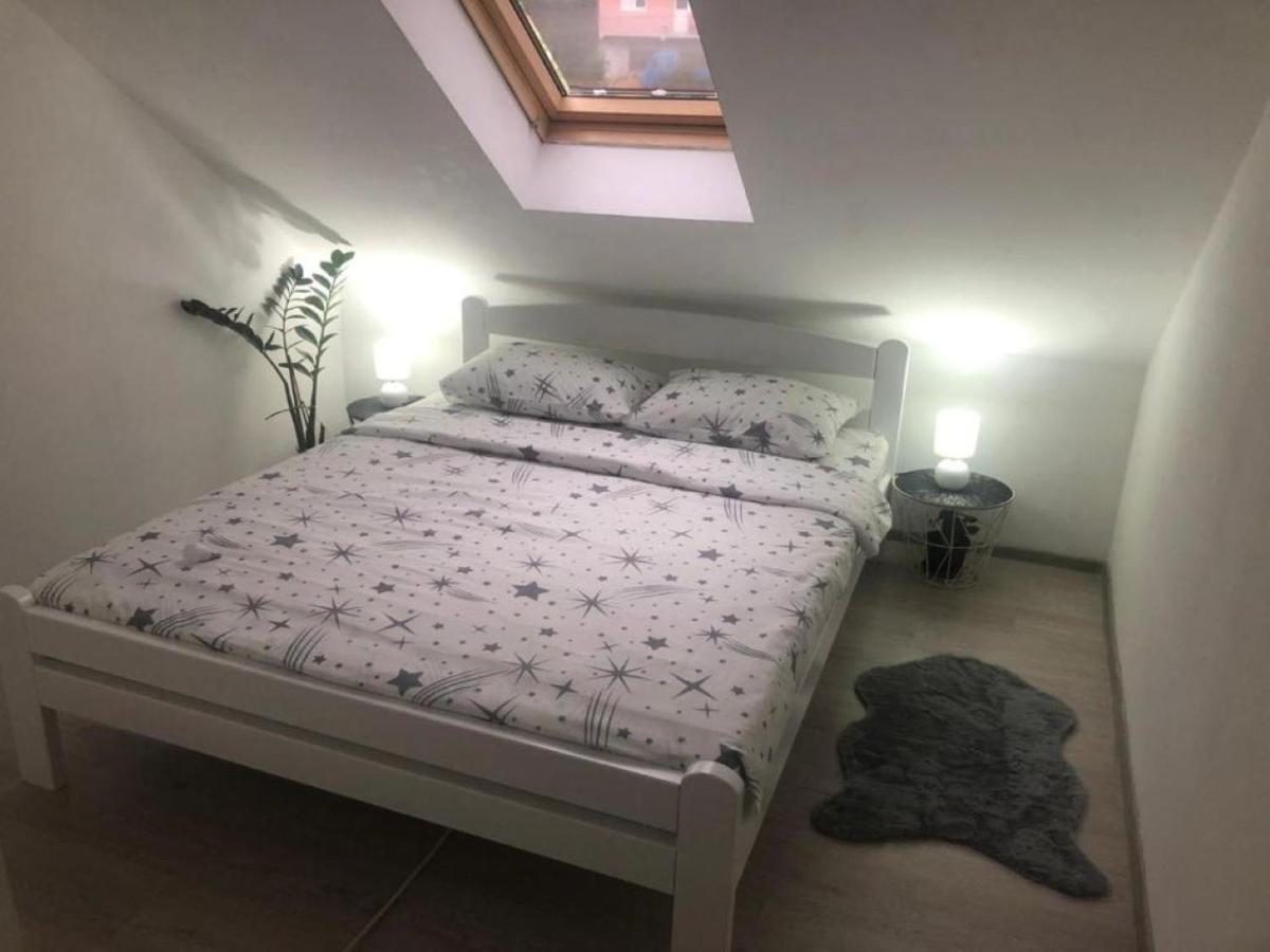 Peaceful Apartment Pluzine Bagian luar foto