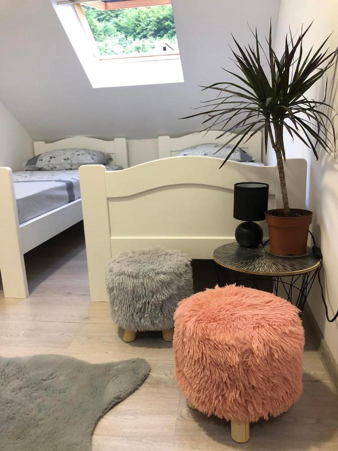 Peaceful Apartment Pluzine Bagian luar foto