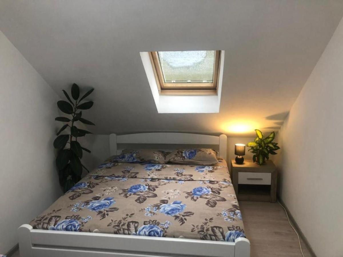 Peaceful Apartment Pluzine Bagian luar foto