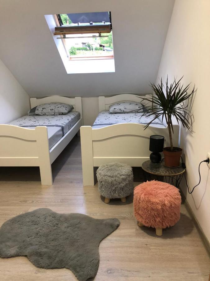 Peaceful Apartment Pluzine Bagian luar foto