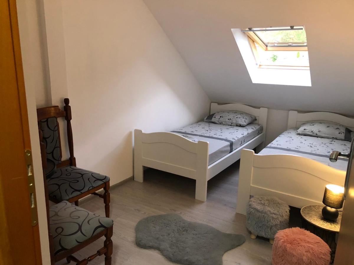 Peaceful Apartment Pluzine Bagian luar foto
