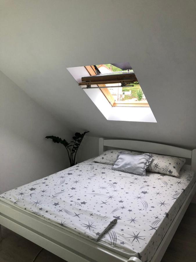 Peaceful Apartment Pluzine Bagian luar foto